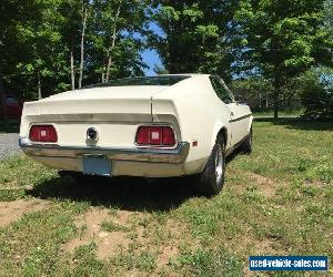 Ford: Mustang Fastback