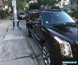 2015 Cadillac Escalade for Sale