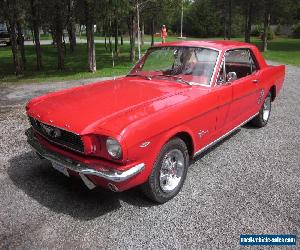 1966 Ford Mustang Pony