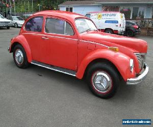 1972 Volkswagen Beetle - Classic Standard Beetle