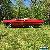 1964 Ford Thunderbird for Sale