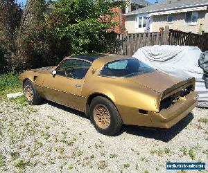 1978 Pontiac Trans Am 6.6 T/A Special Edition