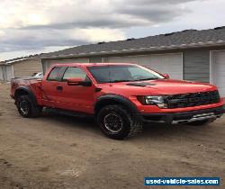 Ford: F-150 Raptor for Sale