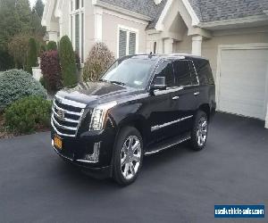 2017 Cadillac Escalade Cadillac Escalade Lincoln Lexus Jeep Audi BMW Merc