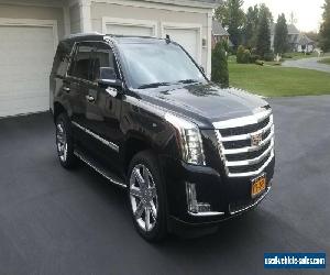 2017 Cadillac Escalade Cadillac Escalade Lincoln Lexus Jeep Audi BMW Merc