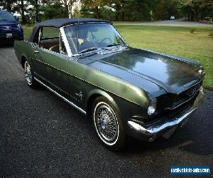 1966 Ford Mustang for Sale