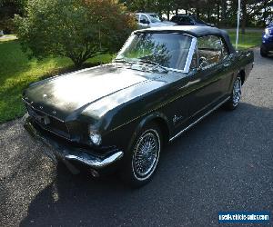 1966 Ford Mustang