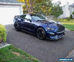 2019 Ford Mustang GT 350 for Sale