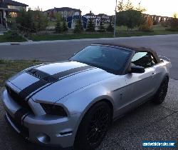 Ford: Mustang Shelby GT 500 for Sale