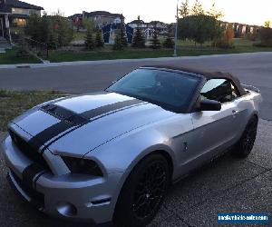 Ford: Mustang Shelby GT 500