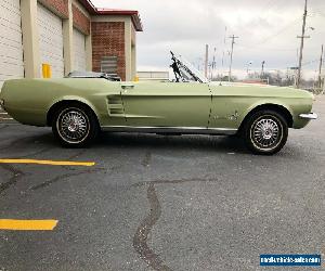 1967 Ford Mustang Mustang