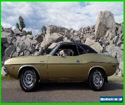 1970 Dodge Challenger for Sale