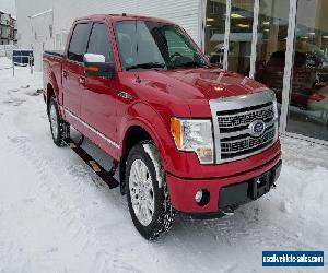 Ford: F-150 PLATINUM