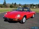 1974 Alfa Romeo Spider for Sale