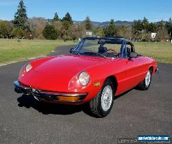 1974 Alfa Romeo Spider for Sale