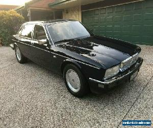 1987 Daimler Six Blue Automatic 4sp A Sedan