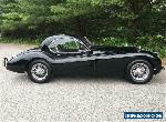 1954 Jaguar XK for Sale