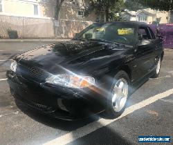 1998 Ford Mustang GT for Sale