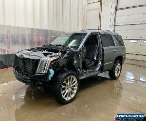 2019 Cadillac Escalade