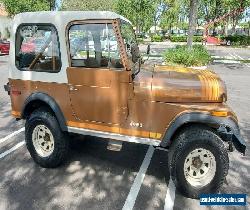 1979 Jeep CJ Renegade for Sale