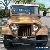 1979 Jeep CJ Renegade for Sale