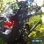 Chevrolet: Cruze for Sale