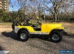 1978 Jeep CJ for Sale