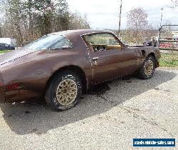 1979 Pontiac Trans Am for Sale