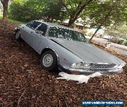 Jaguar 1984 xj6 Series 3  for Sale