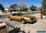 1978 Pontiac Trans Am for Sale