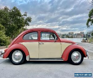 1965 VW Beetle. Lots of money spent. Super cool