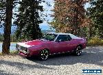 AMC: Javelin AMX for Sale