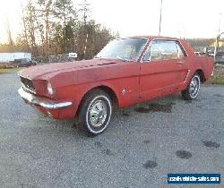 1965 Ford Mustang for Sale