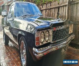 HJ Holden Ute 1976