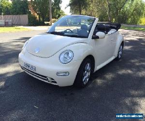 VW Beetle Convertible