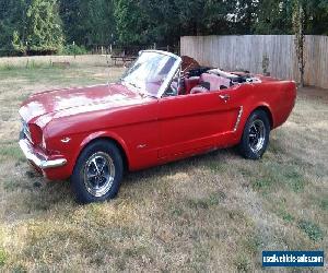 1965 Ford Mustang for Sale