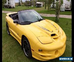 2002 Pontiac Firebird TRANS AM COLLECTOR EDITION for Sale