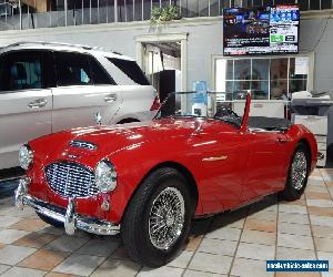 1959 Austin Healey 3000