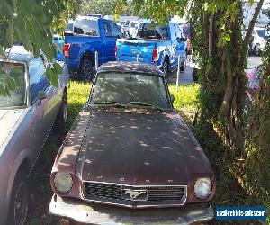 1966 Ford Mustang for Sale