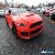 2015 Ford Mustang for Sale