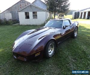 1980 Chevrolet Corvette Coupe for Sale