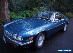 1983 Jaguar XJS for Sale