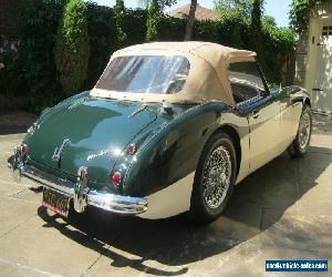 1959 Austin Healey 3000