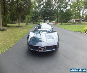 1981 Chevrolet Corvette