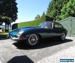 1962 Jaguar E-Type for Sale