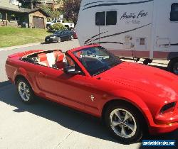 2008 Ford Mustang for Sale