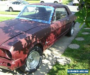 1966 Ford Mustang for Sale