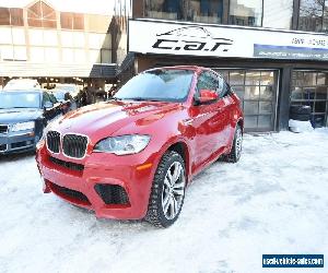 2010 BMW X6 2010 BMW X6M 555HP