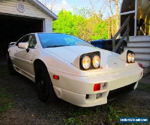 Lotus: Esprit SE TURBO