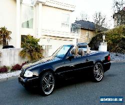 Mercedes-Benz: SL-Class for Sale